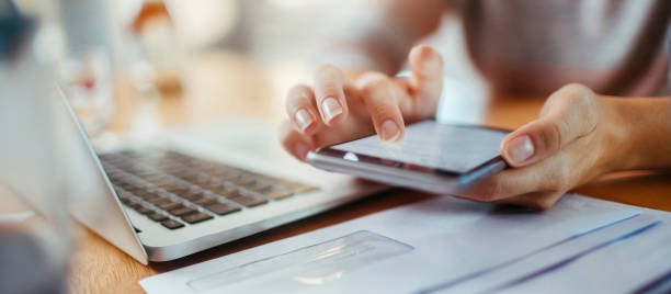 Web Design & Development